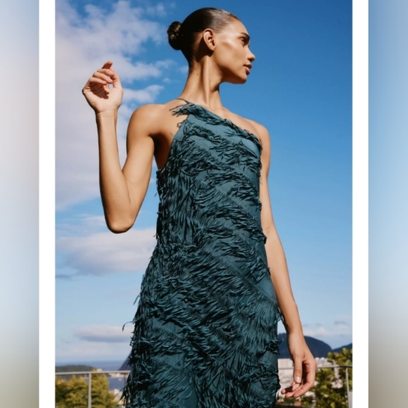 Zara Fringe Midi Dress - Picture 3 of 8